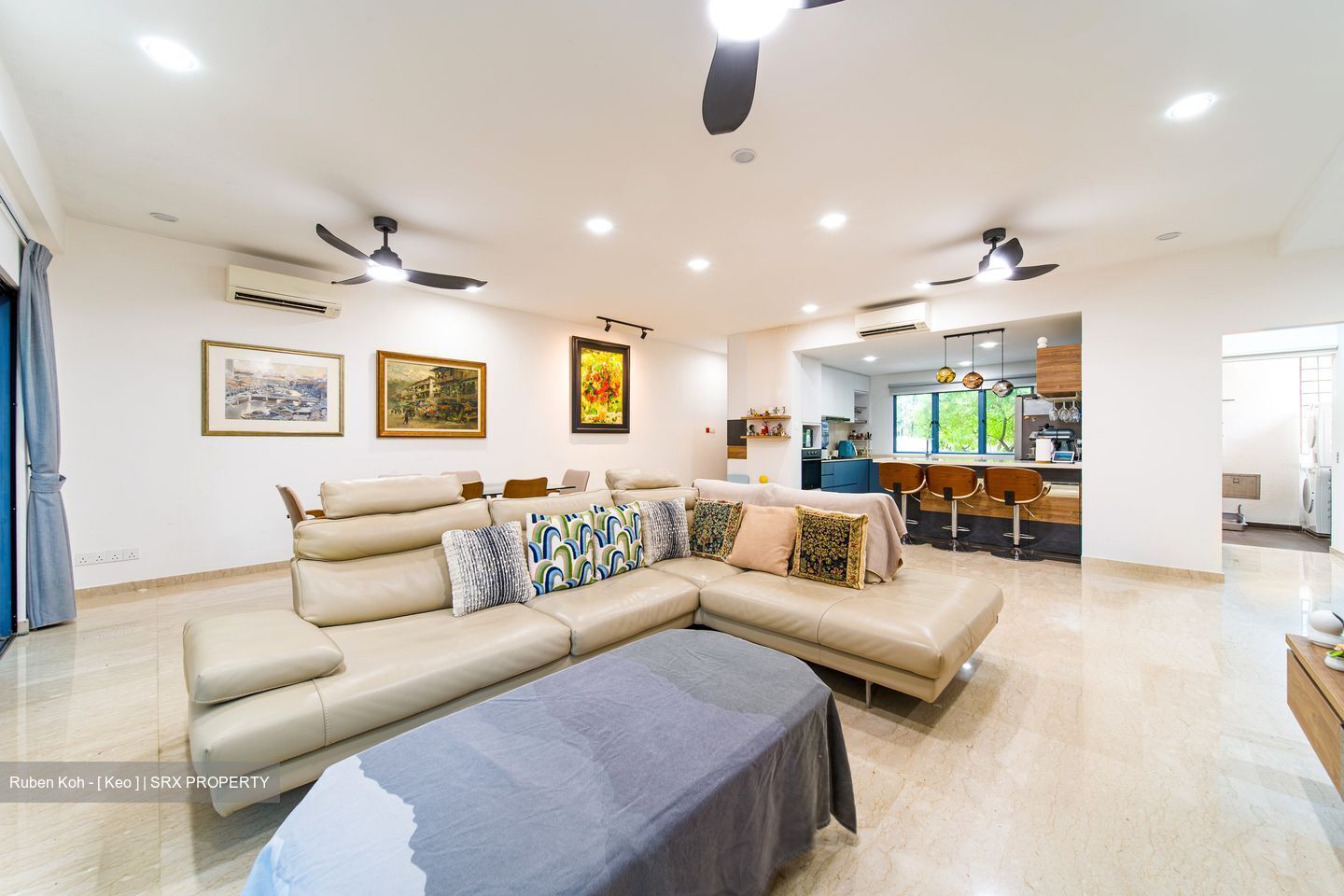 Dormer Park (D10), Condominium #622235431